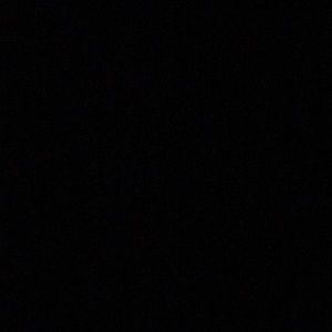 Meet your Posher, Brock